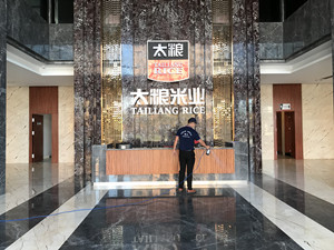 中国农业重点龙头企业太粮米业大型甲醛治理.菌霉防控项目