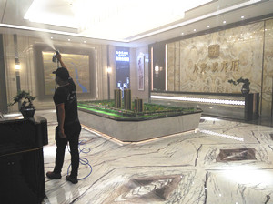 龙光玖龙府营销中心大型菌霉防控项目