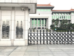 长安镇人民政府办公楼大型甲醛治理.菌霉防控项目