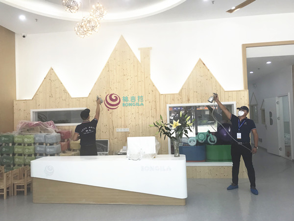 棒吉拉国际早教中心校区大型甲醛治理.菌霉防控项目