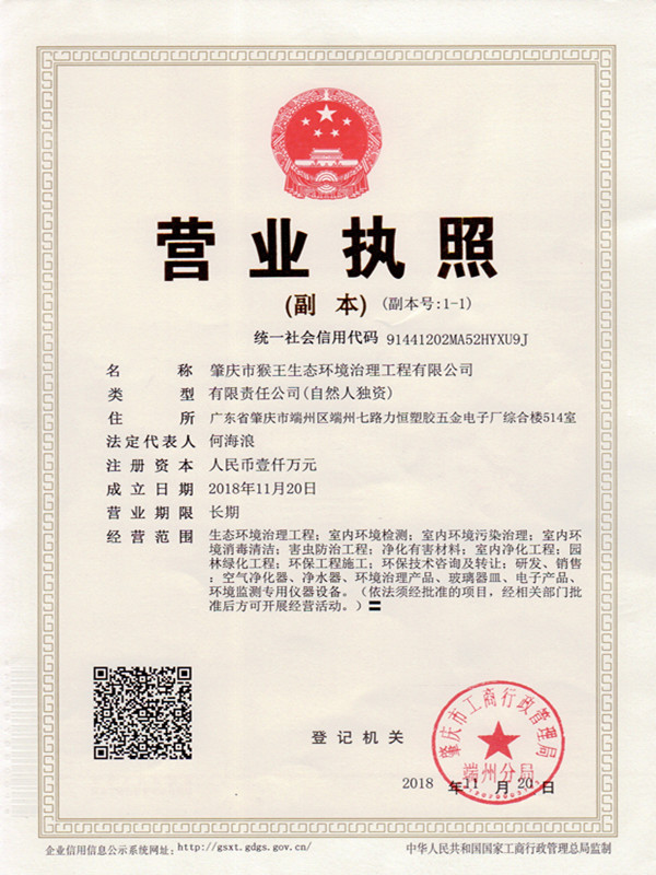 肇庆猴王公司执照