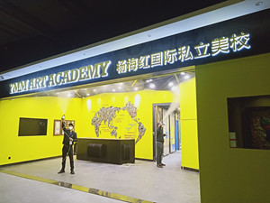 杨梅红国际私立美校大型甲醛治理.菌霉防控工程